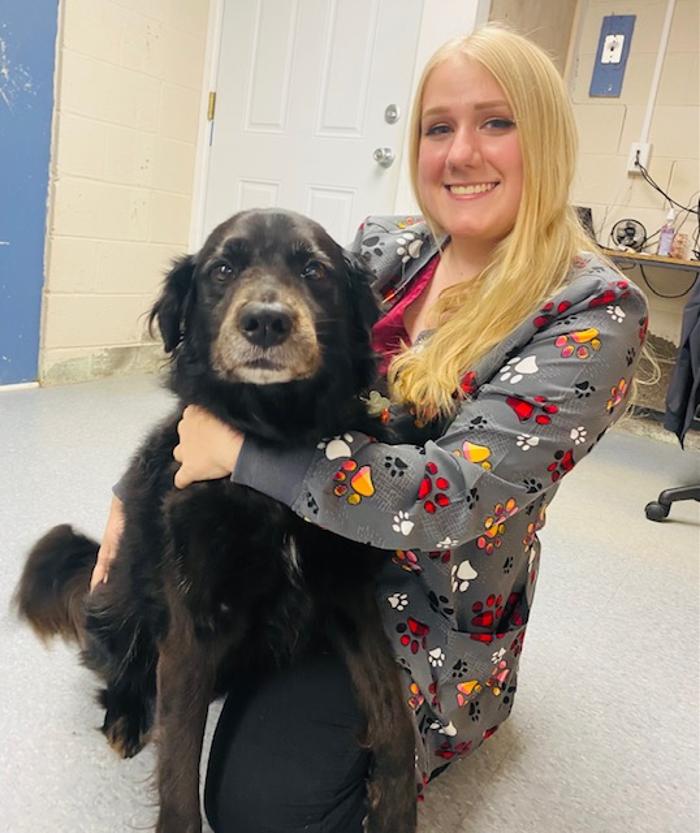 Chestnut Ridge Animal Clinic Image