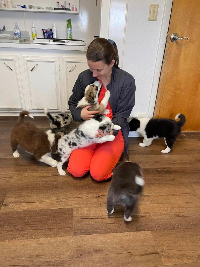 Chestnut Ridge Animal Clinic Image