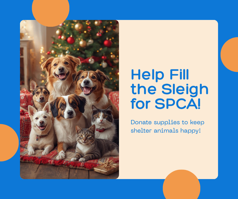 Turner Family Dentistry of Virginia Image