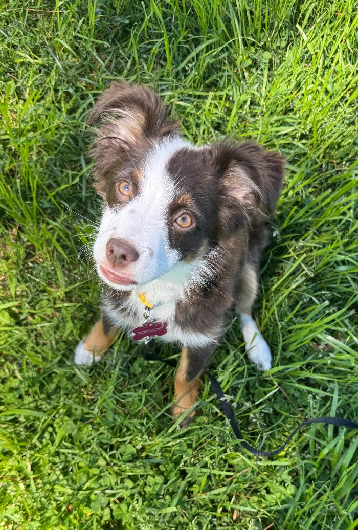 Turner Family Dentistry of Virginia Image