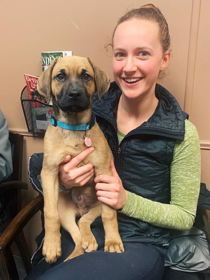 Rockhill Pet Clinic - Kansas City, MO