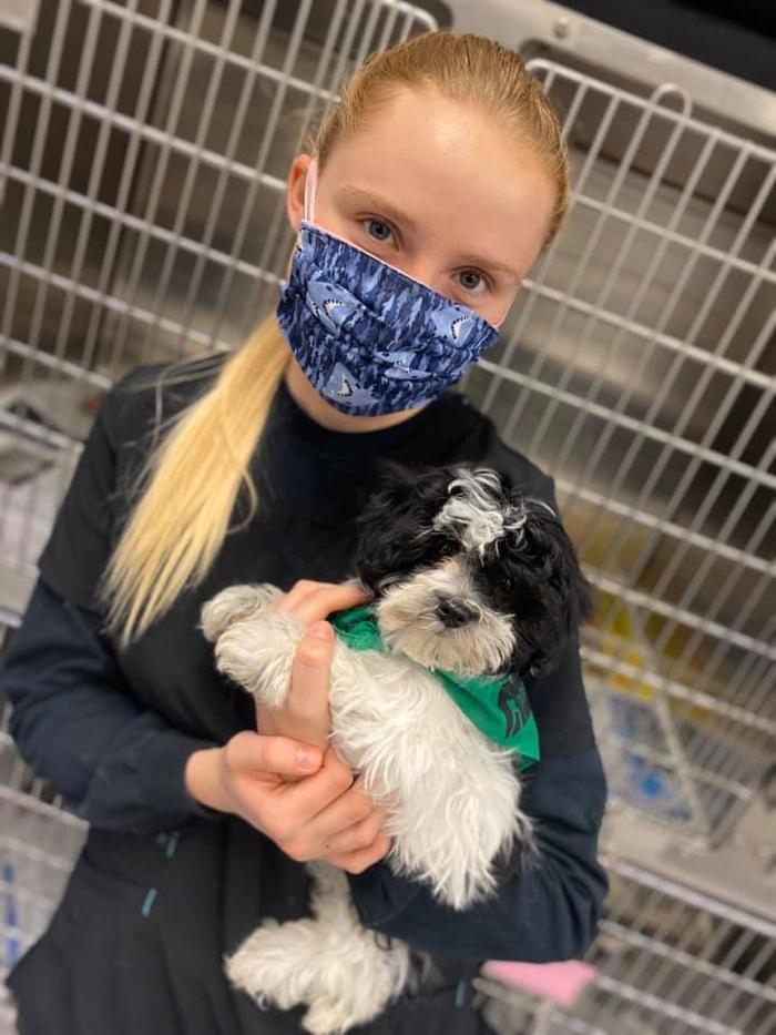 Rockhill Pet Clinic - Kansas City, MO