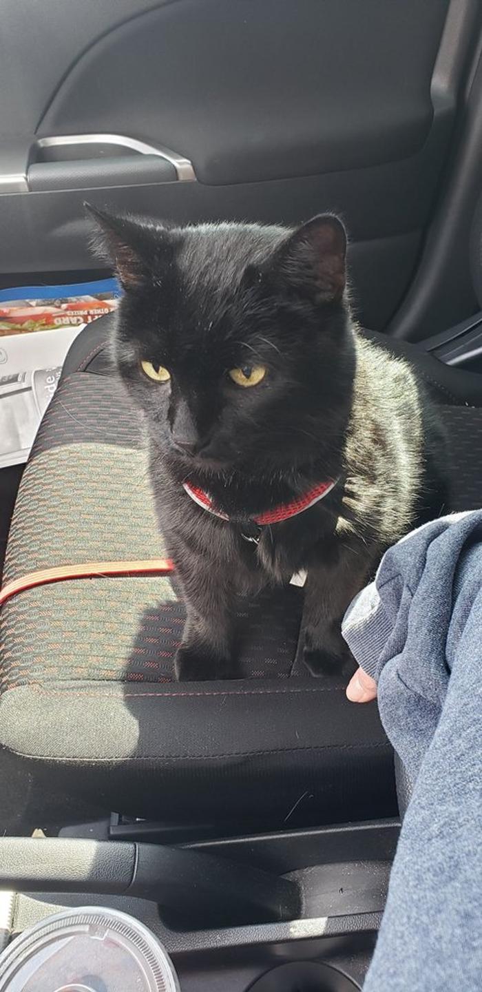 Fairmont Veterinary Hospital - Fairmont, WV