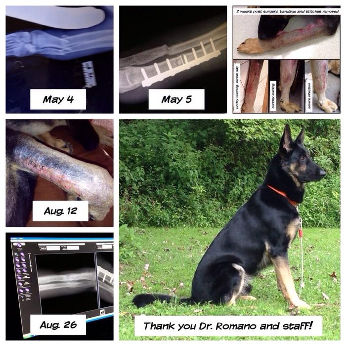 Fairmont Veterinary Hospital - Fairmont, WV