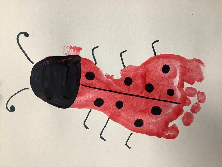 Birch Mountain Day School Inc - Manchester, CT