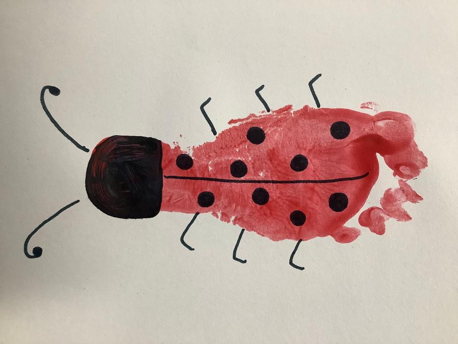 Birch Mountain Day School Inc - Manchester, CT