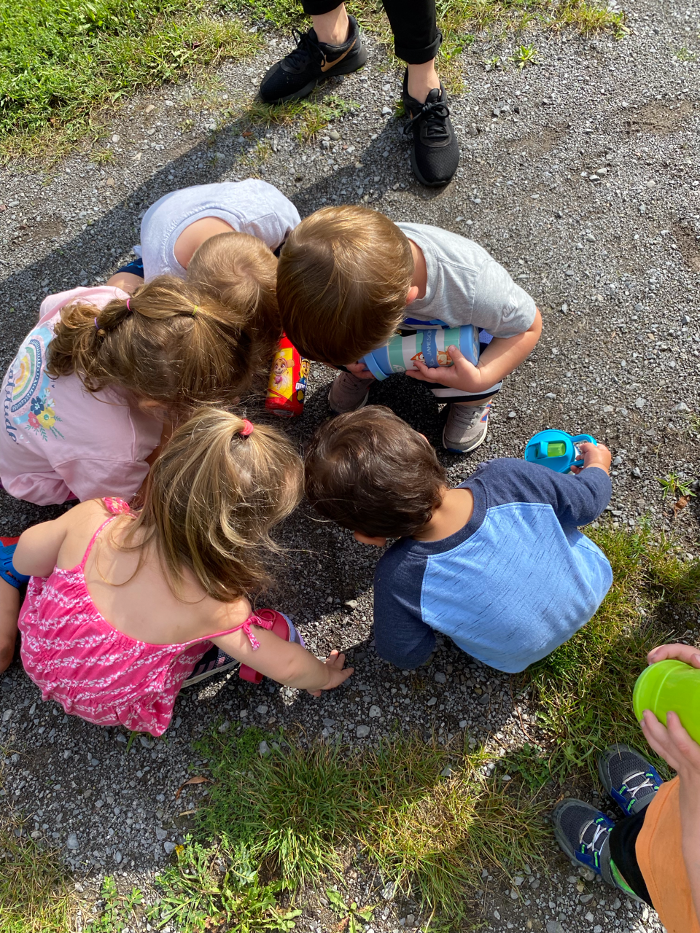 Doodle Bugs! Children's Learning Academy - Victor, NY