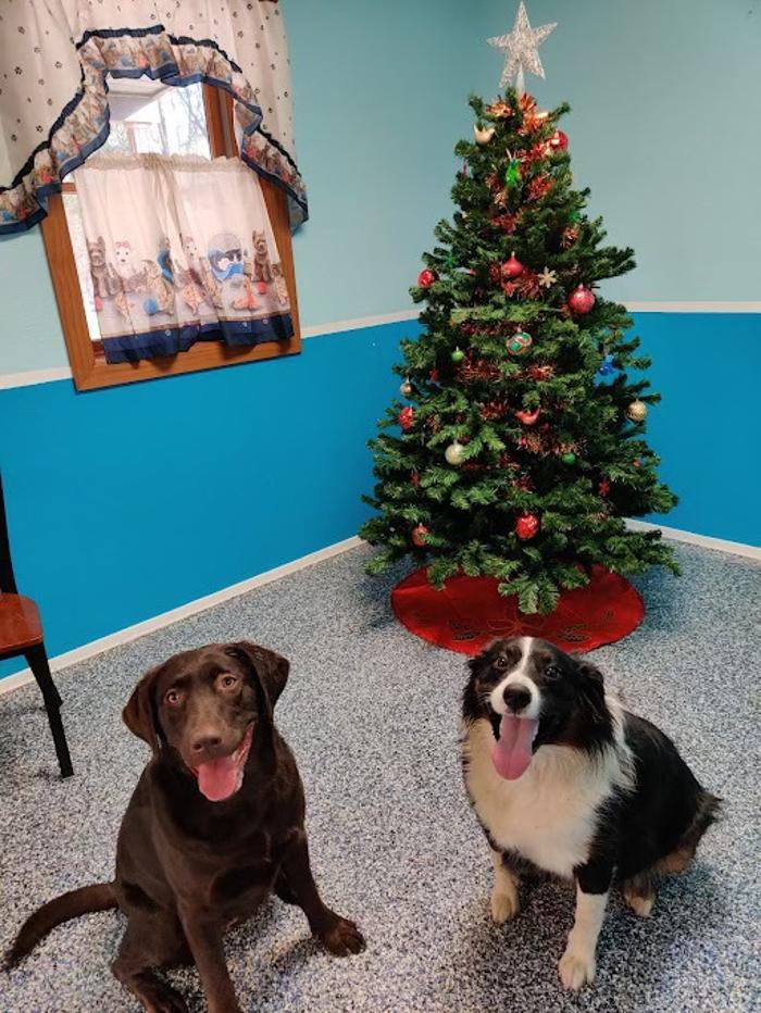 Luxemburg Pet Resort - Lykens, PA