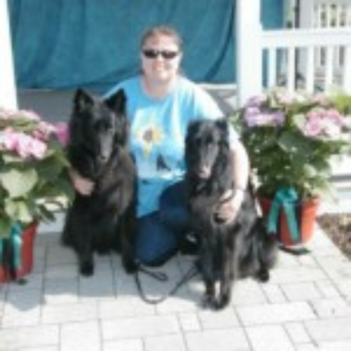 Luxemburg Pet Resort - Lykens, PA