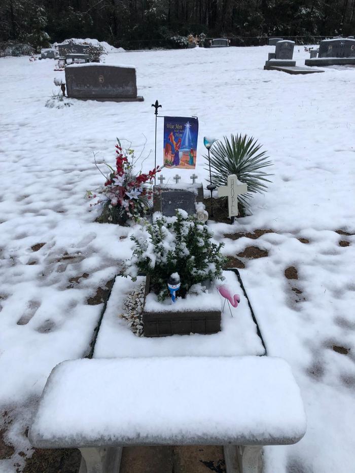 House of Flowers Image