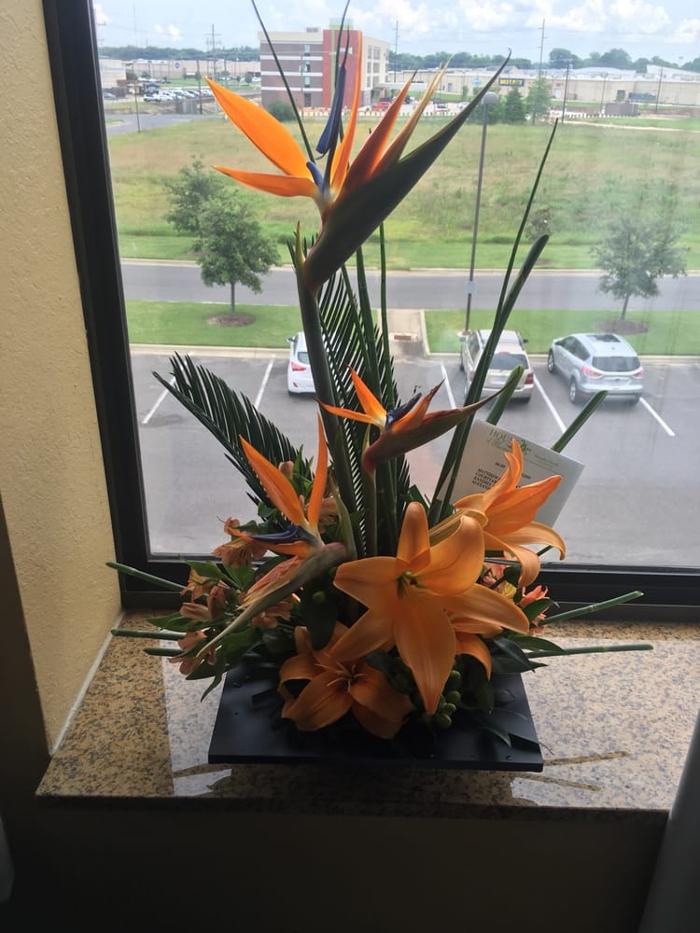 House of Flowers Image