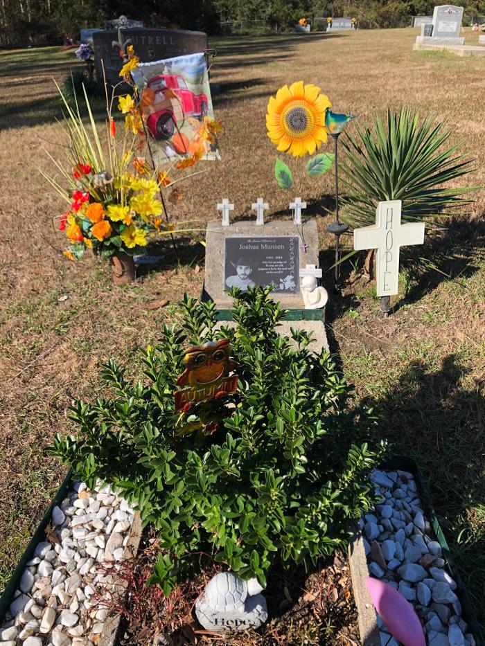 House of Flowers Image