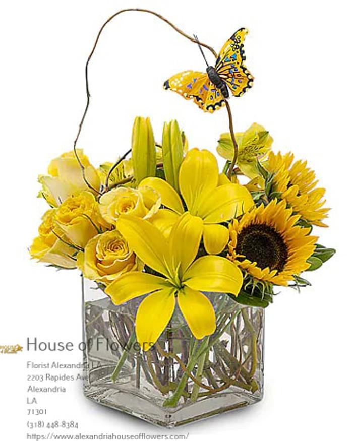 House of Flowers Image