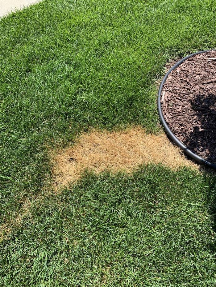 R & L Irrigation Services, Inc. - Seaford, DE