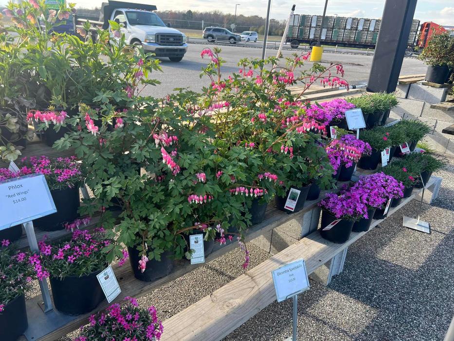 R & L Irrigation Services, Inc. - Seaford, DE