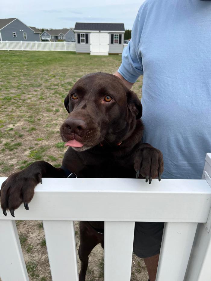 R & L Irrigation Services, Inc. - Seaford, DE