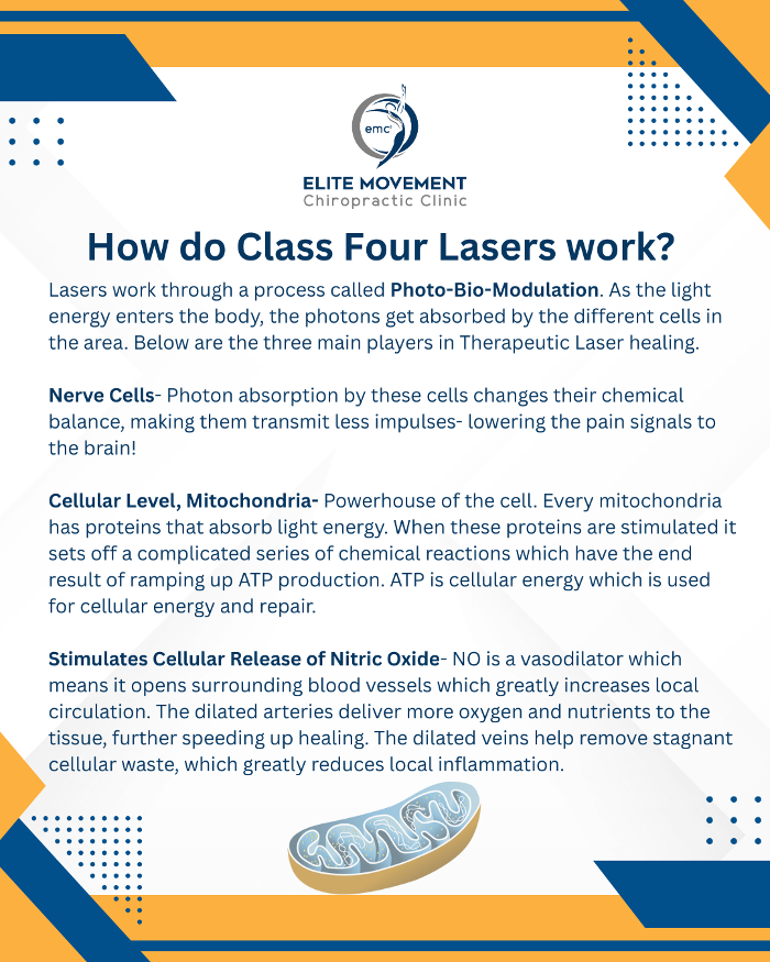 Elite Movement Chiropractic Clinic: Dr. Garrett Kuhlman - Petoskey, MI