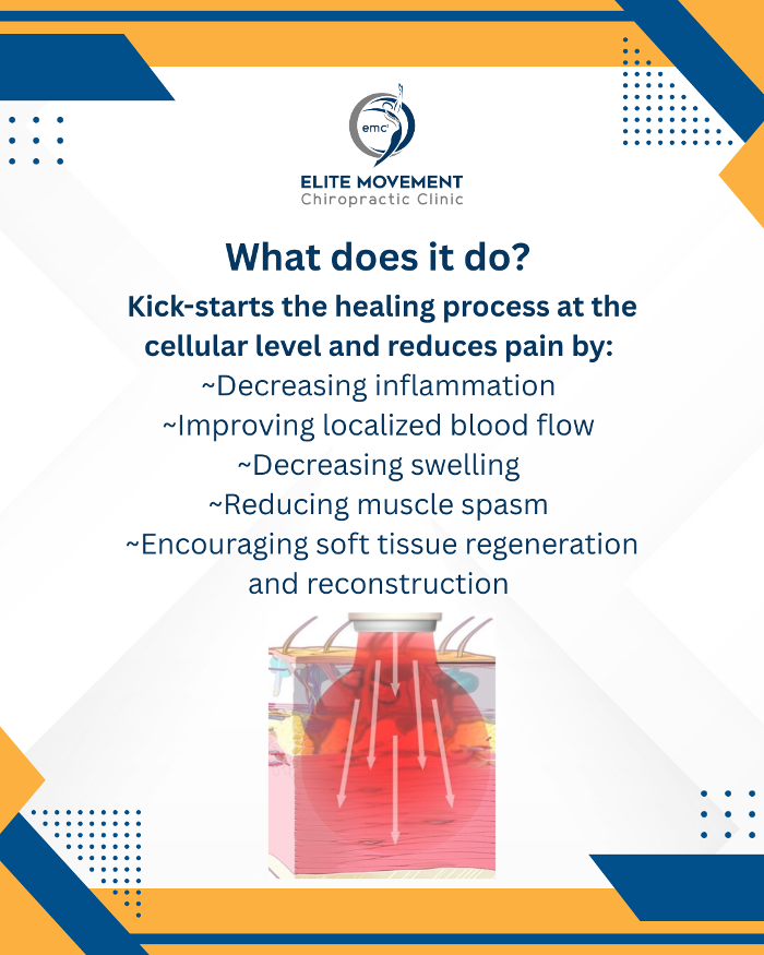 Elite Movement Chiropractic Clinic: Dr. Garrett Kuhlman - Petoskey, MI