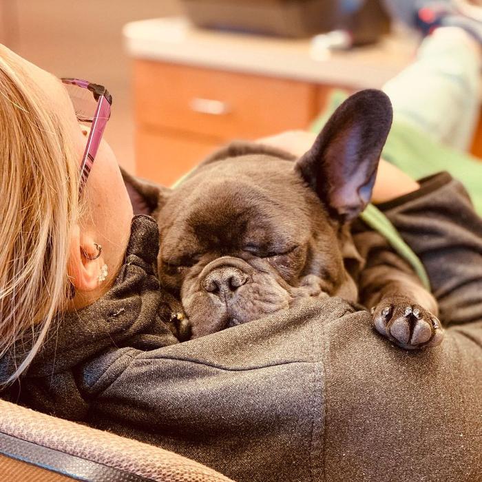 Bay Animal Hospital