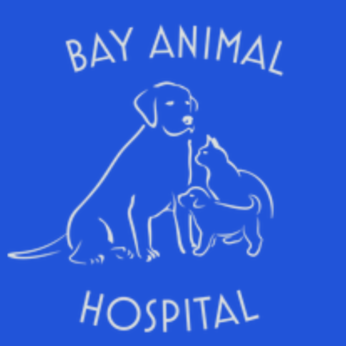 Bay Animal Hospital
