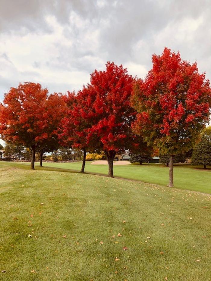 Stonebrooke Golf Club - Shakopee, MN