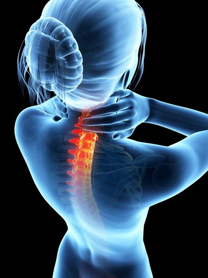 Zweiacher Chiropractic - Smyrna, DE