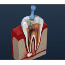 Image 16 | Drs. Jan T. Bagwell & Jessica J. Johnston, DDS