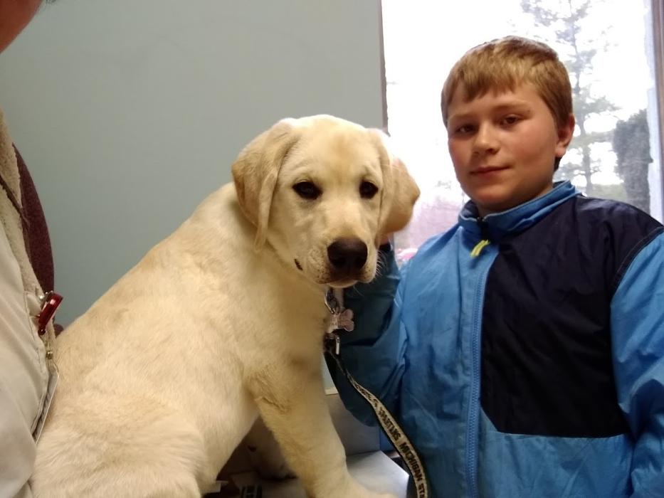 Animal Medical Center of Saline - Saline, MI