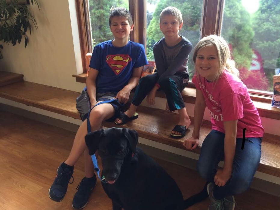 Animal Medical Center of Saline - Saline, MI