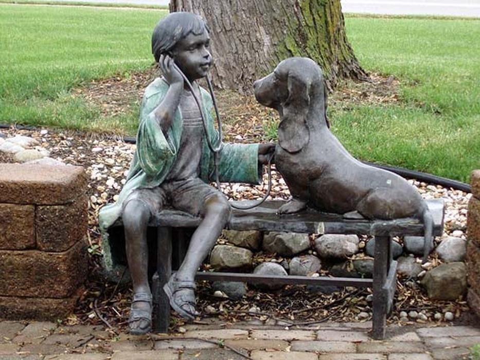 Animal Medical Center of Saline - Saline, MI