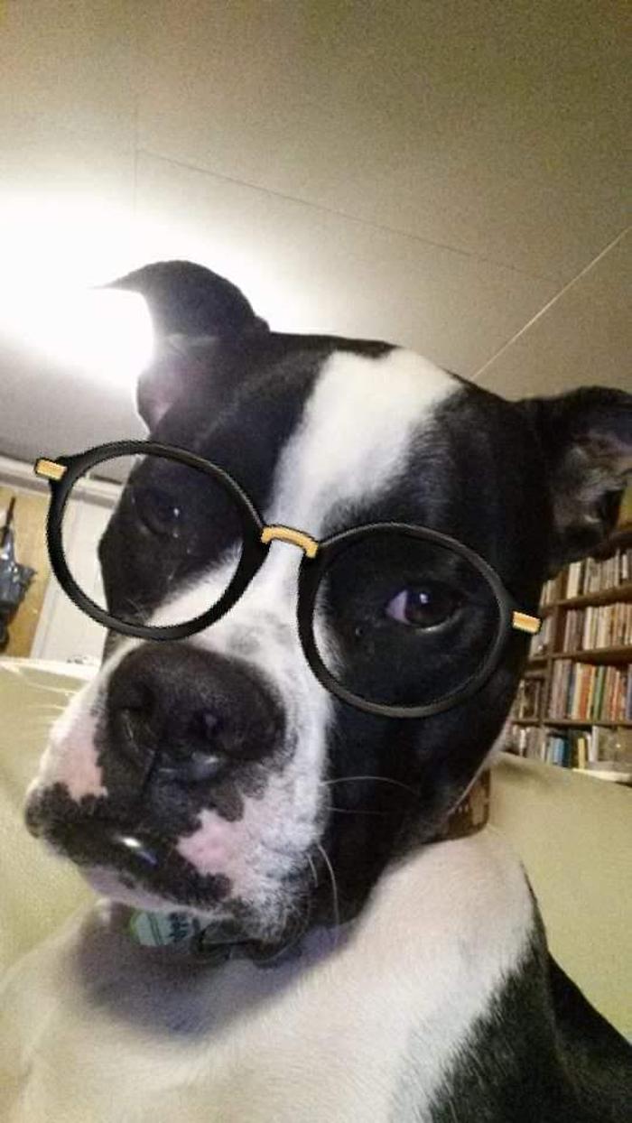 Animal Medical Center of Saline - Saline, MI