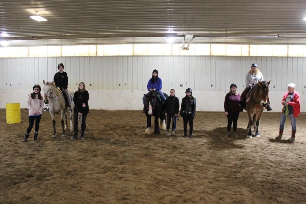 Options Westfield Image