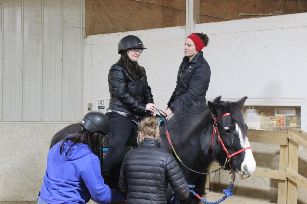 Options Westfield Image