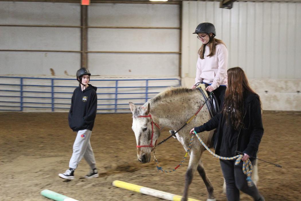 Options Westfield Image