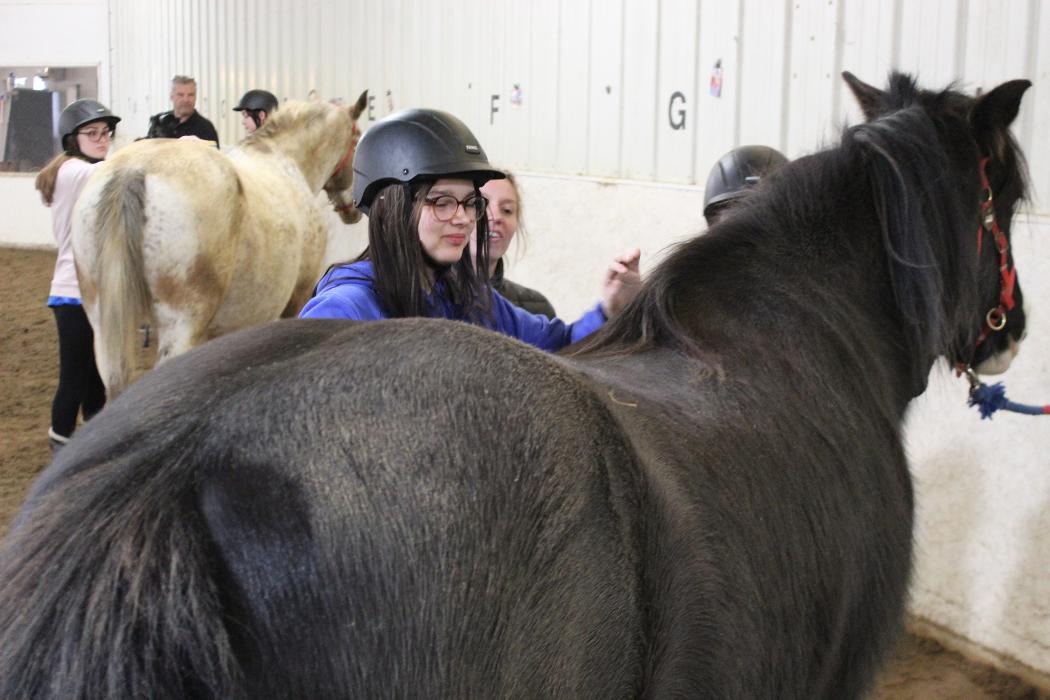 Options Westfield Image