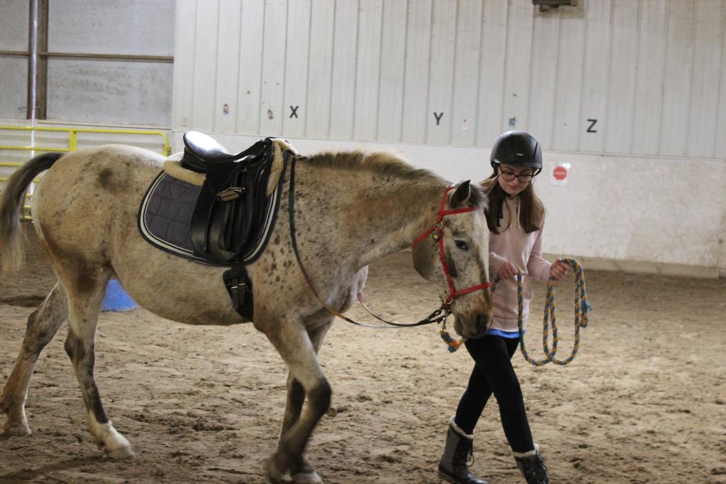 Options Westfield Image