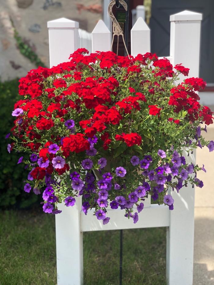 Michael J Hansen, DDS Image