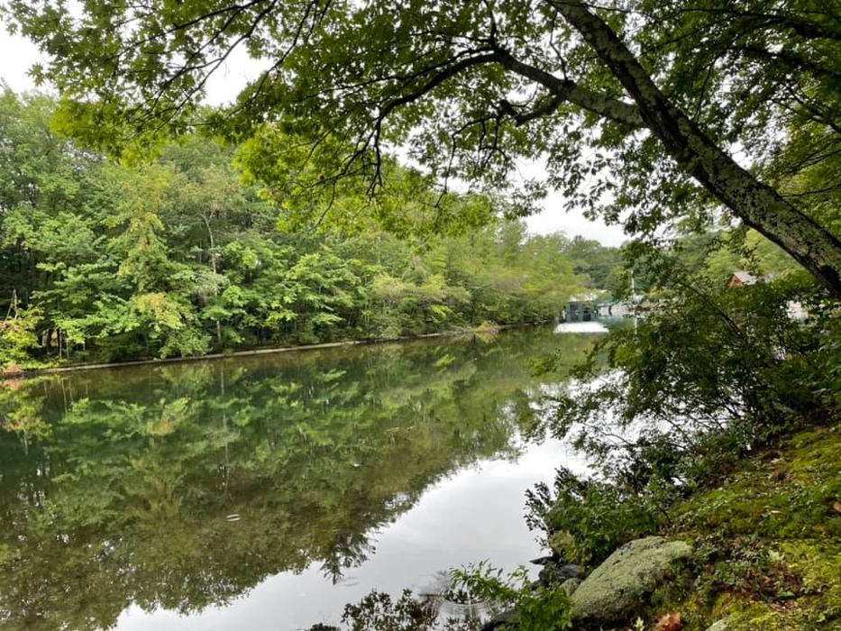 Elaine Hughes Realty Group LLC - Ashland, NH