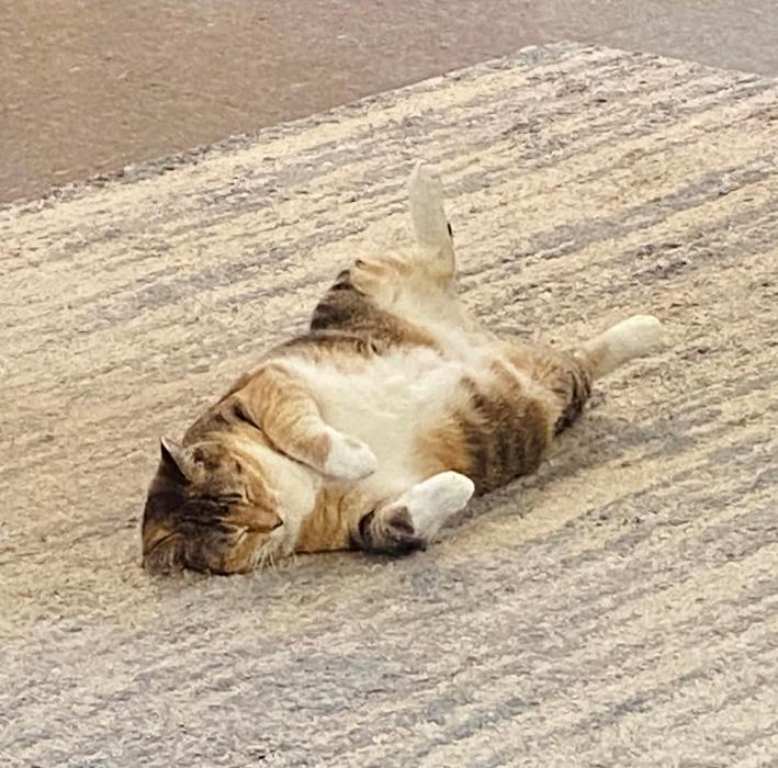 Country Living Guest Home, Inc. Image