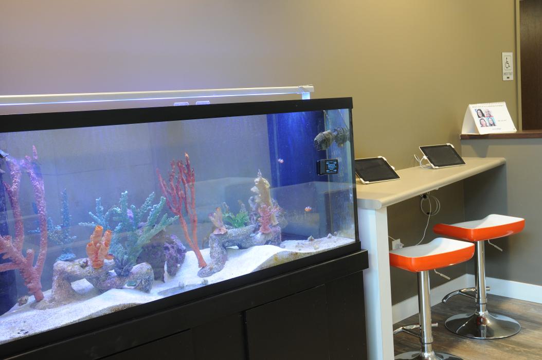 Progressive Dental Image