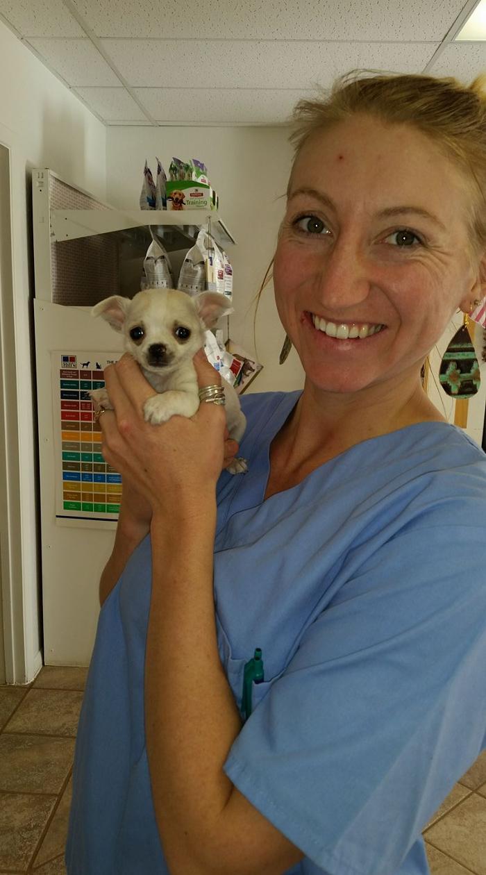 Town & Country Veterinary Clinic