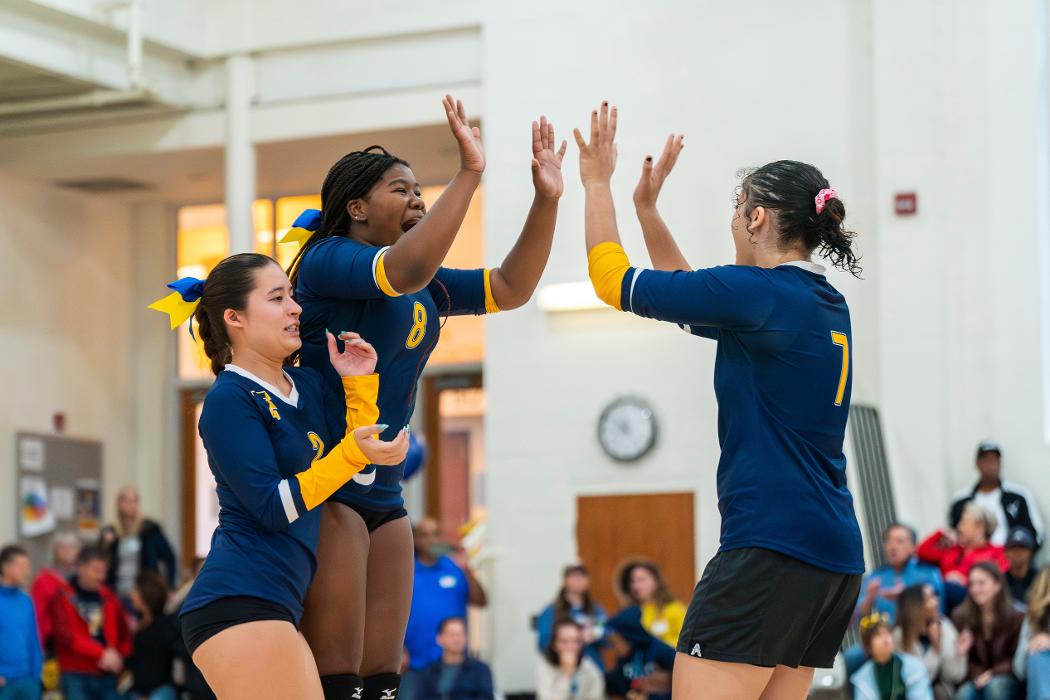 The Field School - Washington, DC