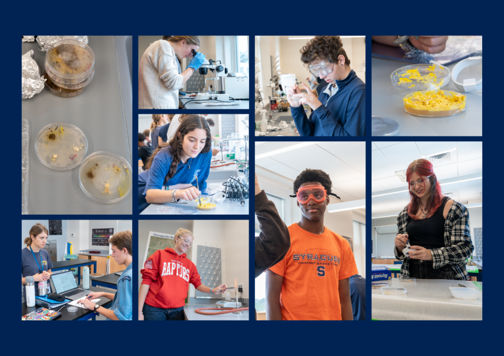 The Field School - Washington, DC