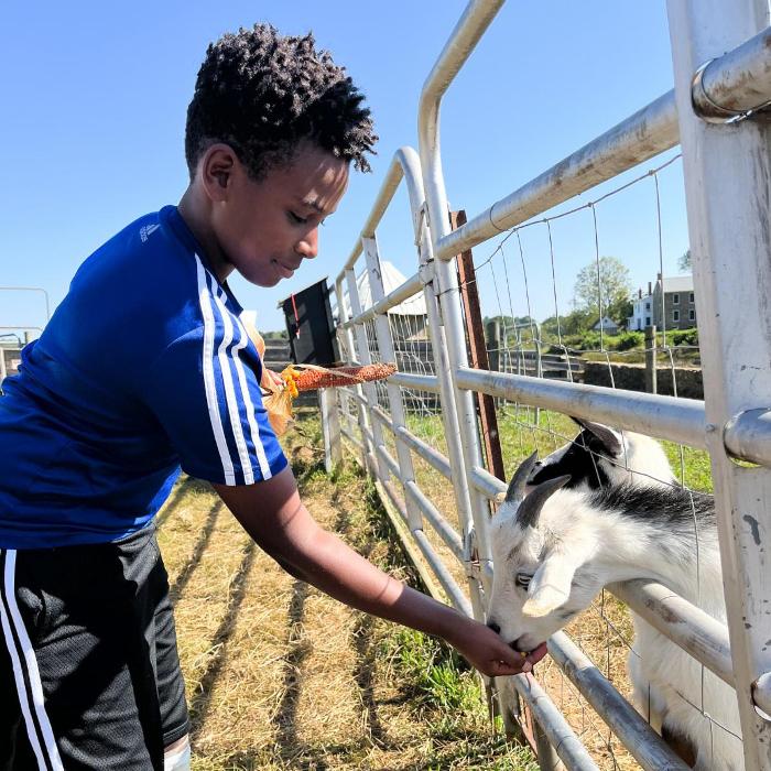 The Field School - Washington, DC