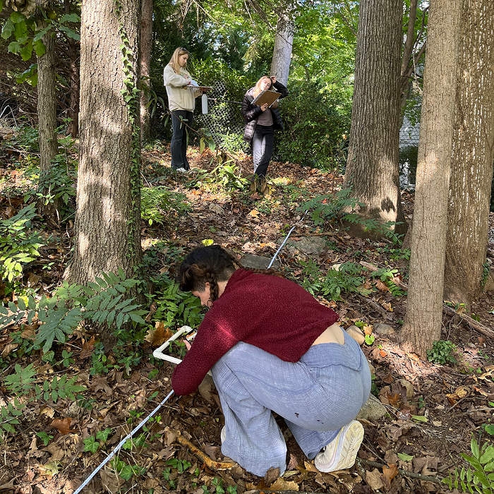 The Field School - Washington, DC
