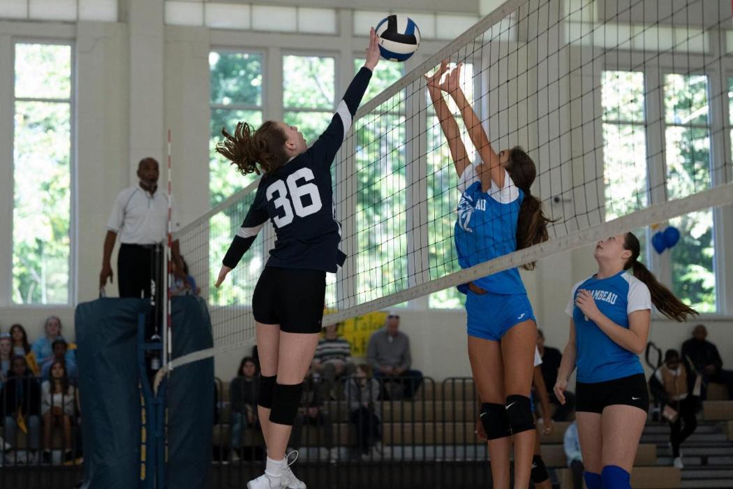 The Field School - Washington, DC