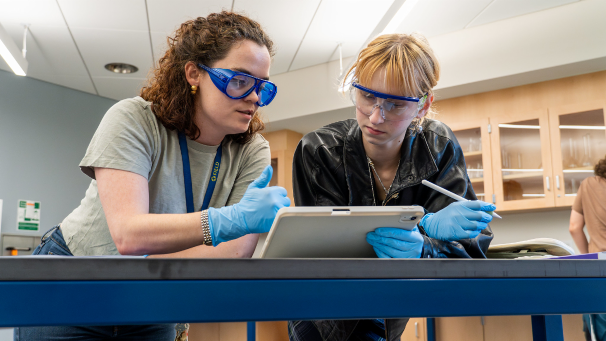 The Field School - Washington, DC