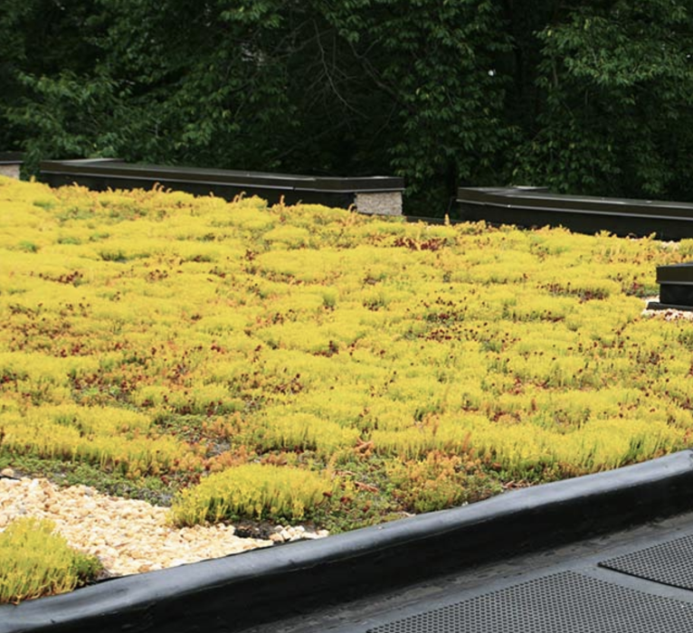 Secure Roofing - Quincy, MA