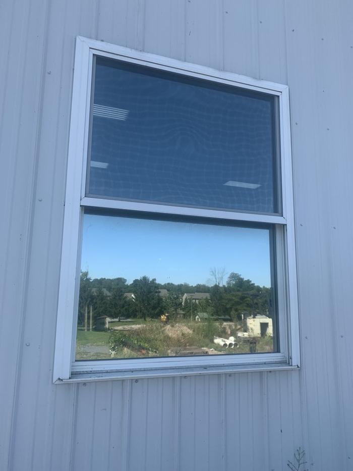 Sun Protectors Professional Window Tinting Logo