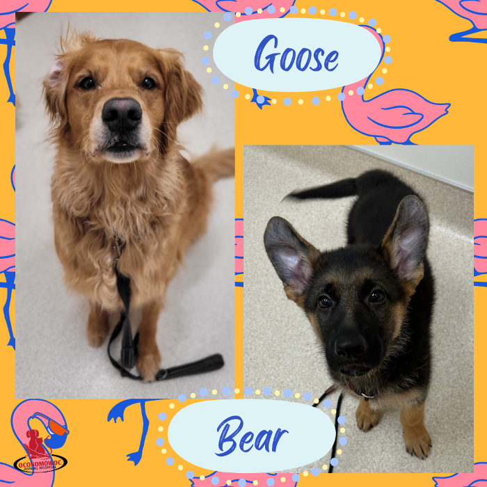 Oconomowoc Animal Hospital - Oconomowoc, WI